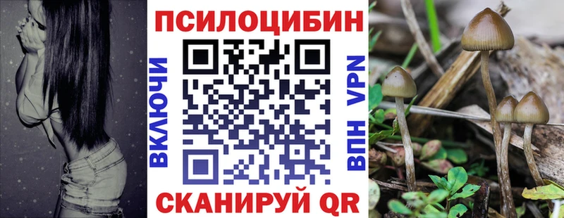 Купить  Суздаль  Галлюциногенные грибы GOLDEN TEACHER 